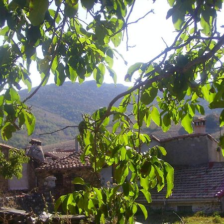 Madre Terra Pensionat La Puebla de la Sierra Exteriör bild